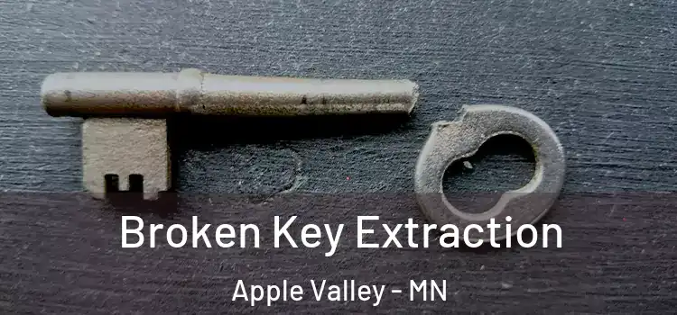  Broken Key Extraction Apple Valley - MN