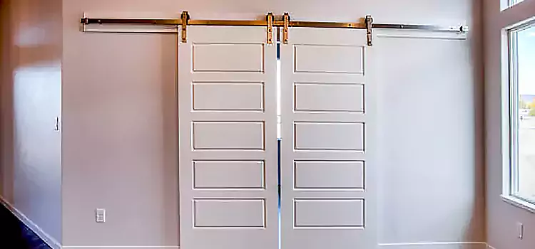 Glass Barn Door with Installation Hardware Kit Apple Valley