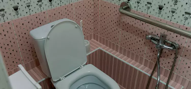 Meeting Diverse Needs With Accessible Restroom Solutions in Apple Valley, MN