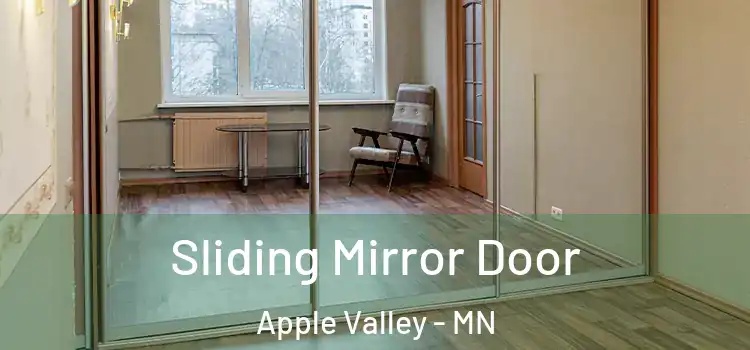  Sliding Mirror Door Apple Valley - MN